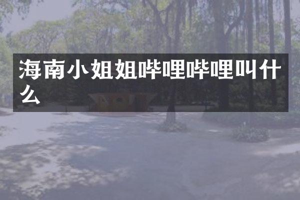 海南小姐姐哔哩哔哩叫什么