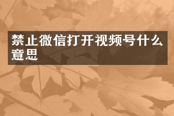 禁止微信打开视频号什么意思