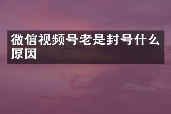 微信视频号老是封号什么原因