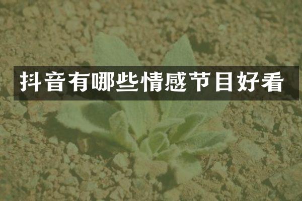 抖音有哪些情感节目好看