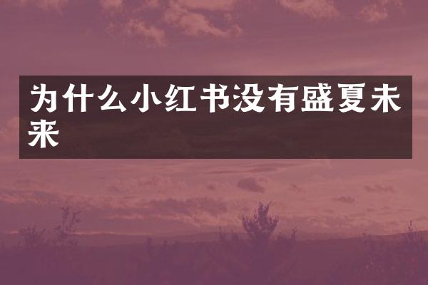 为什么小红书没有盛夏未来
