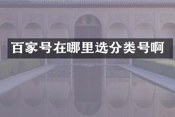 百家号在哪里选分类号啊