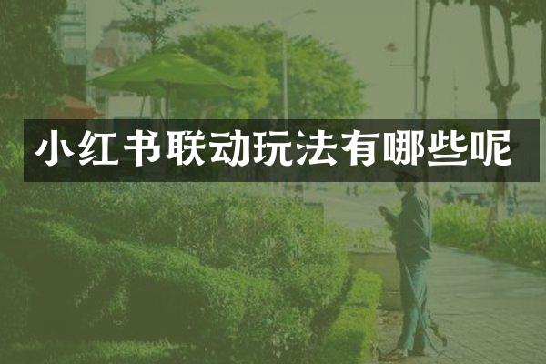 小红书联动玩法有哪些呢