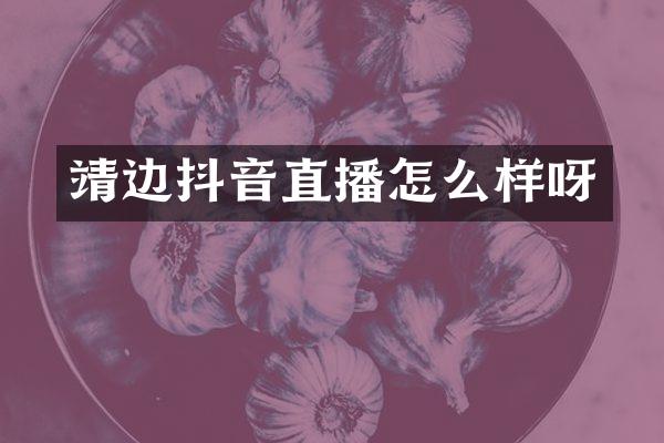 靖边抖音直播怎么样呀