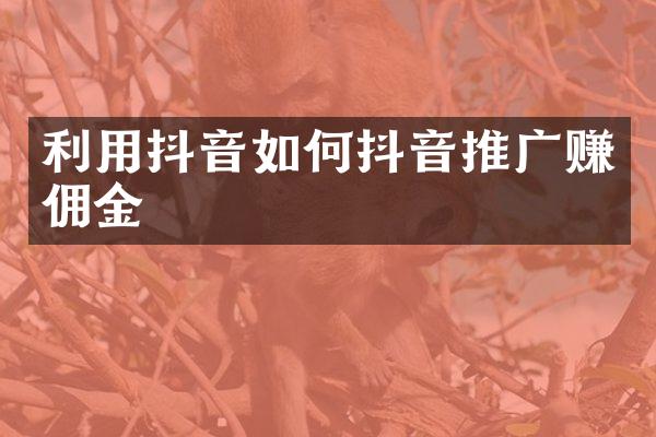 利用抖音如何抖音推广赚佣金