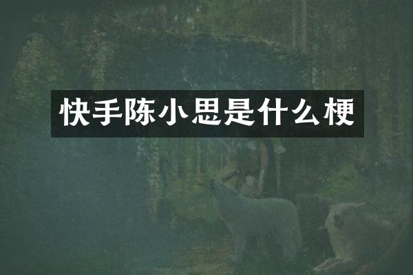 快手陈小思是什么梗