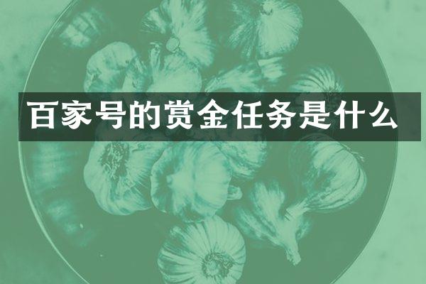 百家号的赏金任务是什么