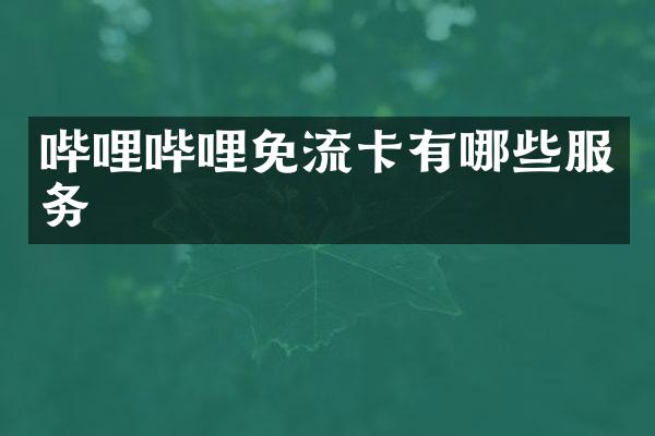 哔哩哔哩免流卡有哪些服务