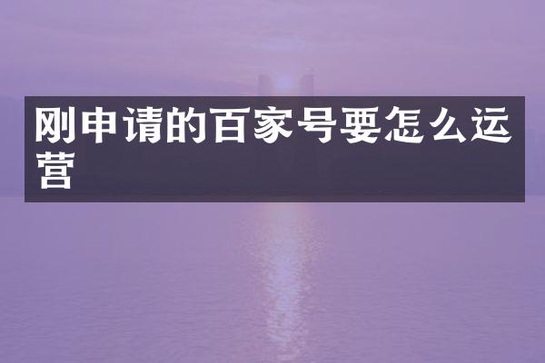 刚申请的百家号要怎么运营
