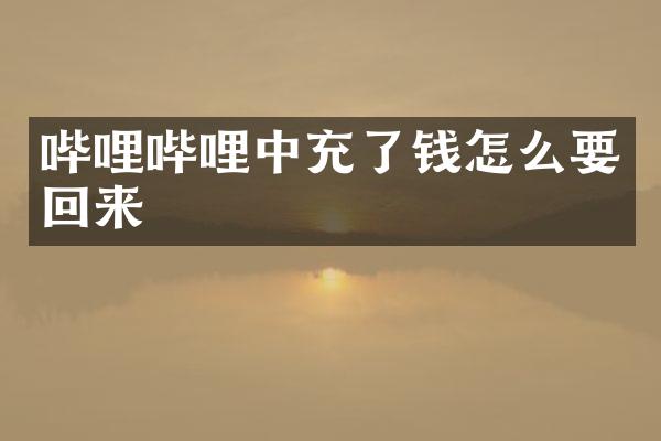 哔哩哔哩中充了钱怎么要回来