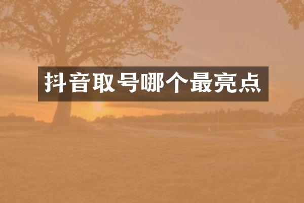 抖音取号哪个最亮点