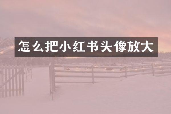 怎么把小红书头像放大