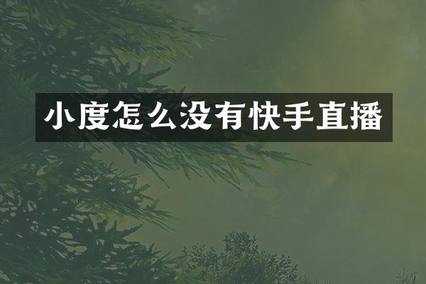 小度怎么没有快手直播