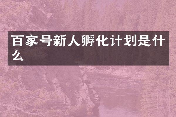 百家号新人孵化计划是什么