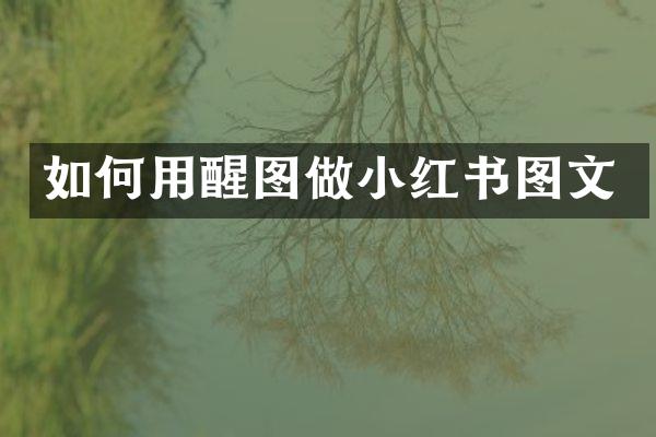 如何用醒图做小红书图文