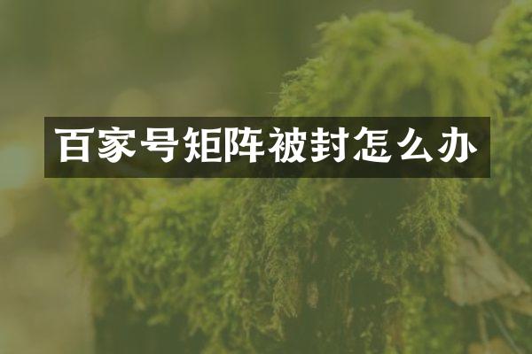 百家号矩阵被封怎么办