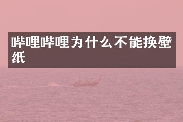 哔哩哔哩为什么不能换壁纸
