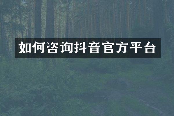 如何咨询抖音官方平台