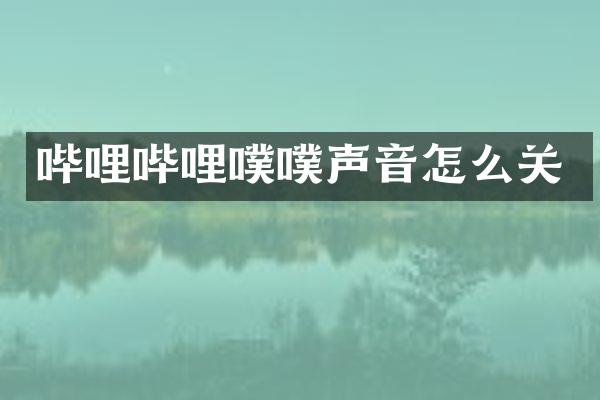 哔哩哔哩噗噗声音怎么关
