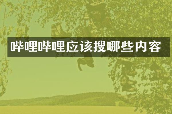 哔哩哔哩应该搜哪些内容