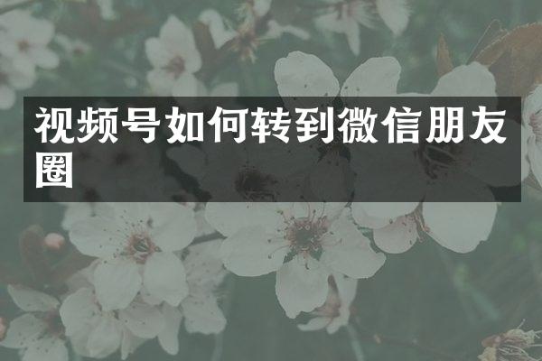 视频号如何转到微信朋友圈