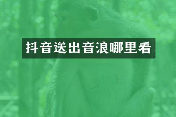 抖音送出音浪哪里看