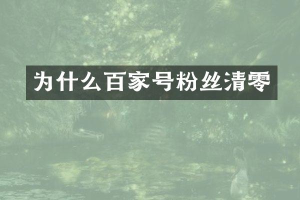 为什么百家号粉丝清零