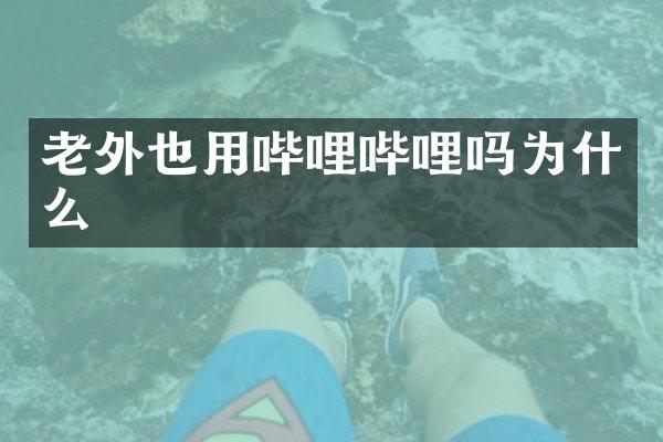 老外也用哔哩哔哩吗为什么
