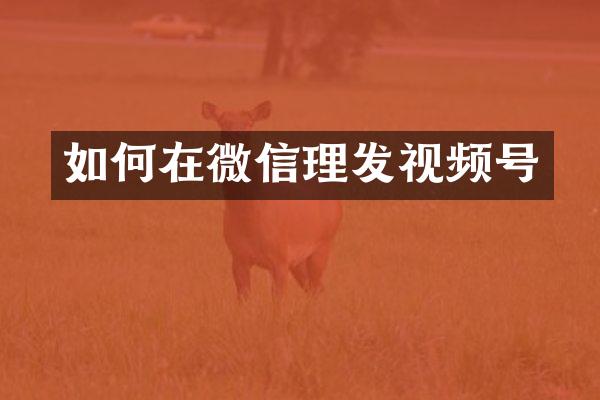 如何在微信理发视频号