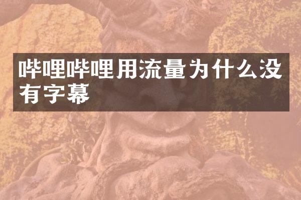 哔哩哔哩用流量为什么没有字幕