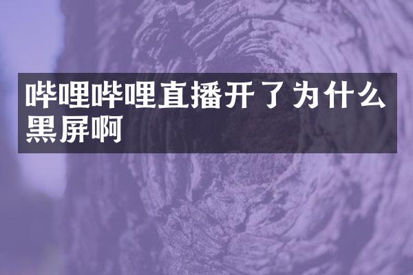 哔哩哔哩直播开了为什么黑屏啊