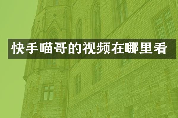 快手喵哥的视频在哪里看