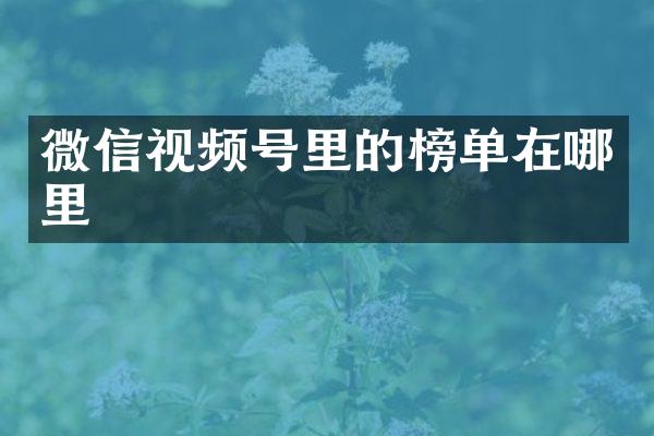 微信视频号里的榜单在哪里