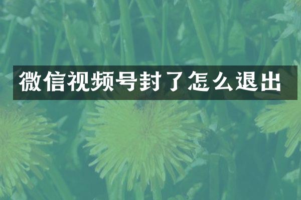 微信视频号封了怎么退出