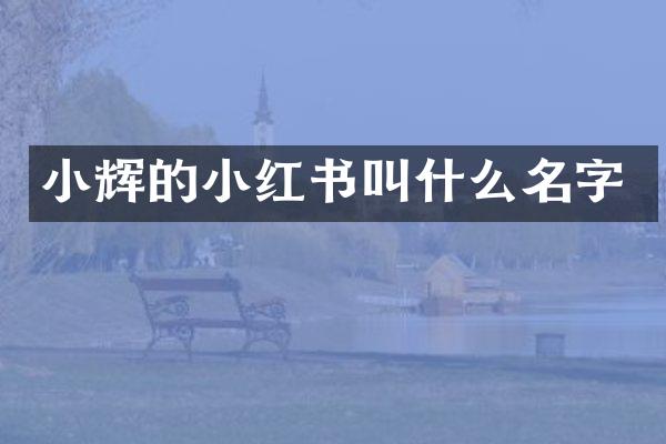 小辉的小红书叫什么名字