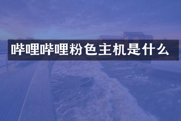 哔哩哔哩粉色主机是什么