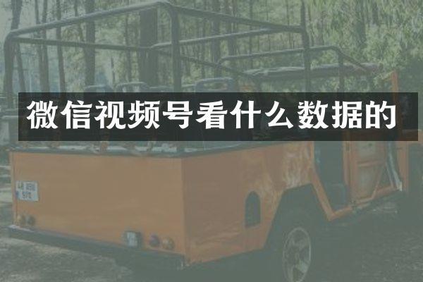 微信视频号看什么数据的
