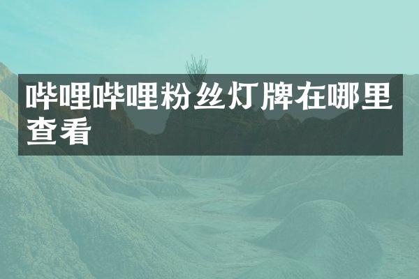 哔哩哔哩粉丝灯牌在哪里查看