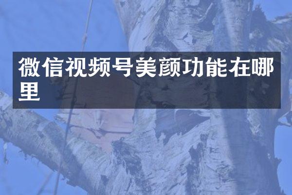 微信视频号美颜功能在哪里