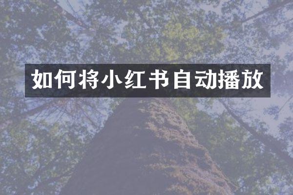 如何将小红书自动播放