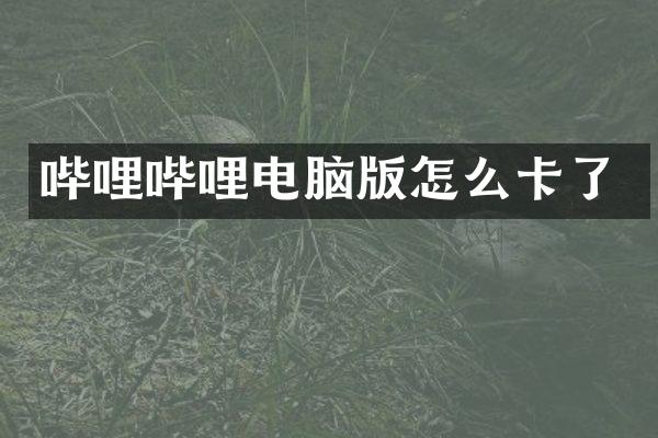 哔哩哔哩电脑版怎么卡了
