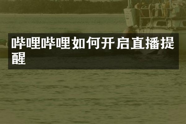 哔哩哔哩如何开启直播提醒