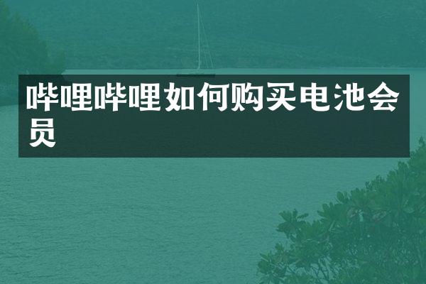 哔哩哔哩如何购买电池会员