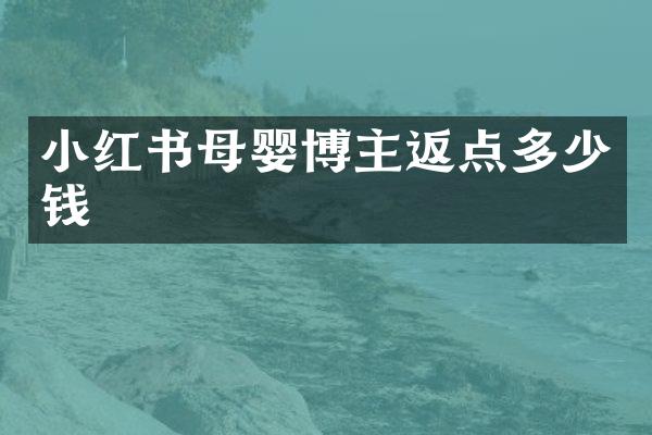 小红书母婴博主返点多少钱
