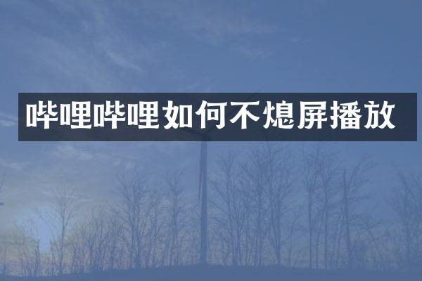 哔哩哔哩如何不熄屏播放