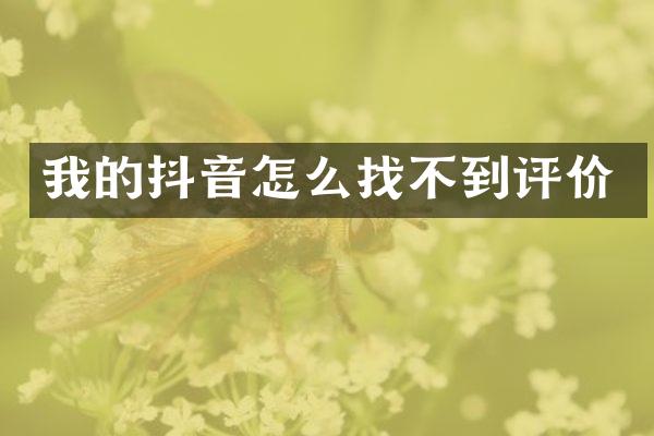 我的抖音怎么找不到评价