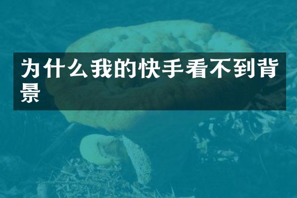 为什么我的快手看不到背景