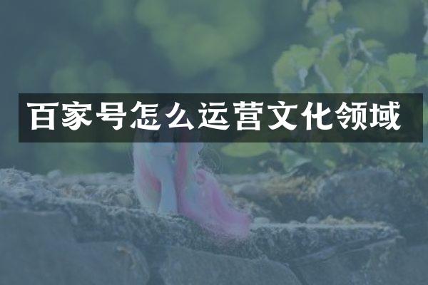百家号怎么运营文化领域