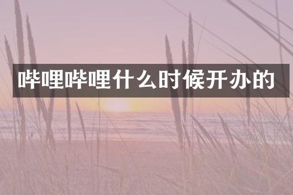 哔哩哔哩什么时候开办的