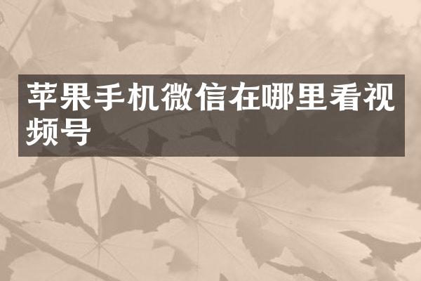 苹果手机微信在哪里看视频号